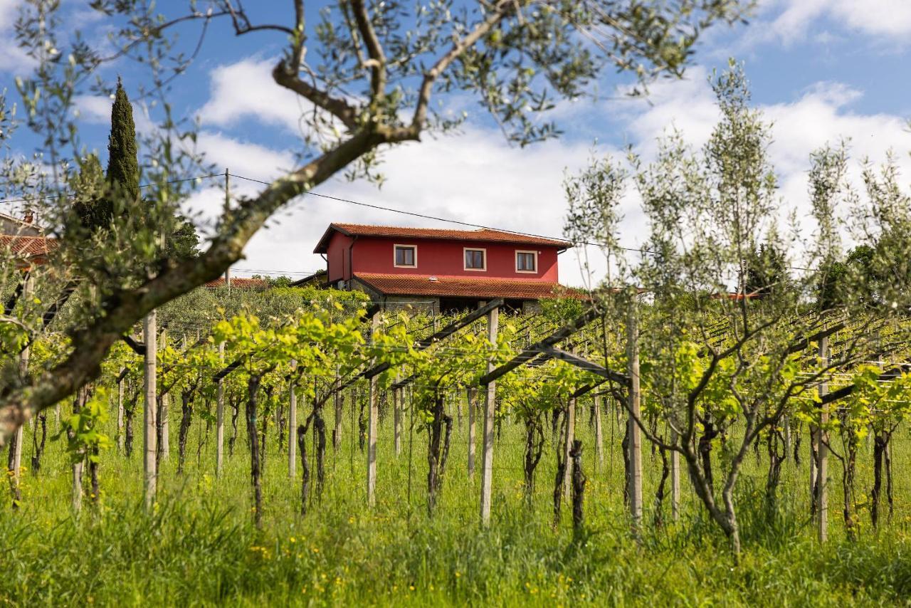 Touristfarm - Apartments "Red Fairytale" Marezige Luaran gambar