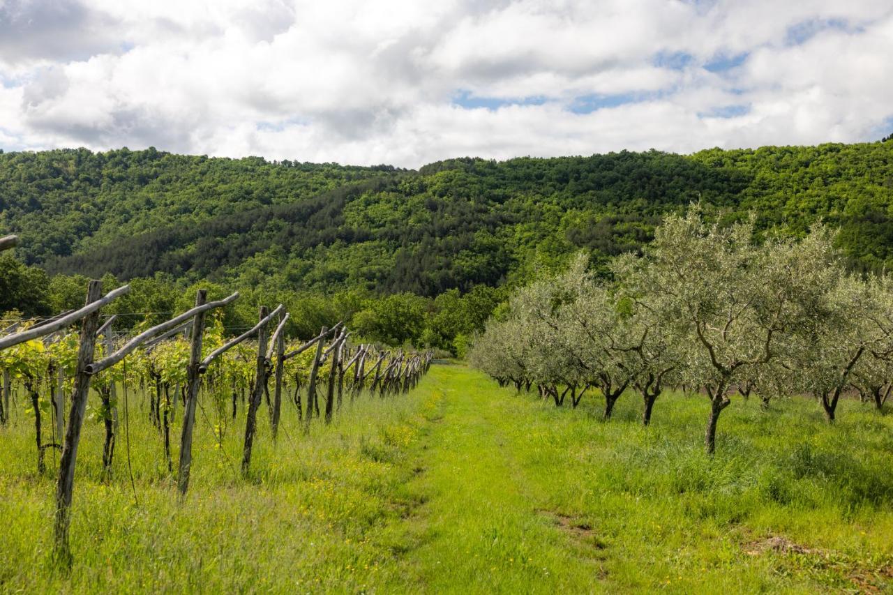 Touristfarm - Apartments "Red Fairytale" Marezige Luaran gambar
