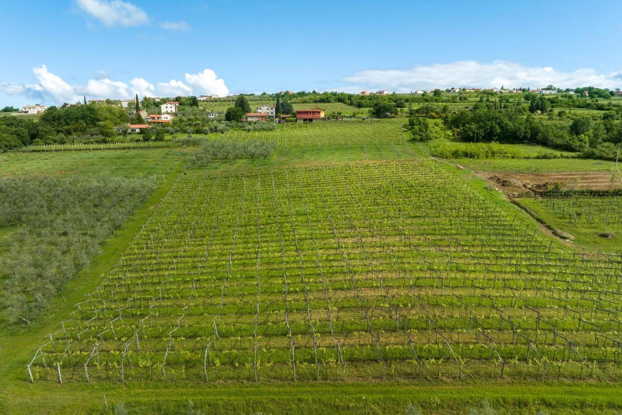 Touristfarm - Apartments "Red Fairytale" Marezige Luaran gambar