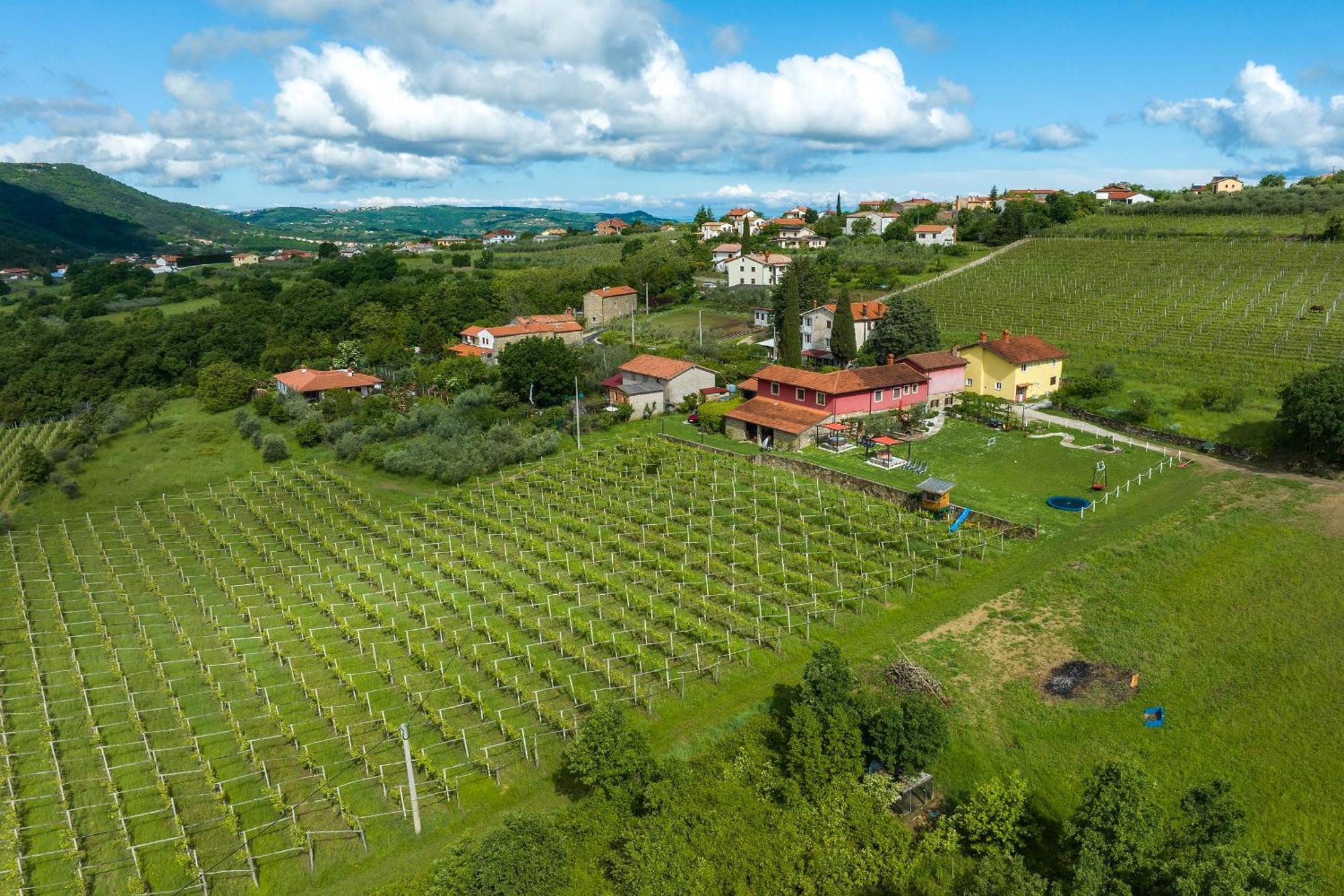 Touristfarm - Apartments "Red Fairytale" Marezige Luaran gambar