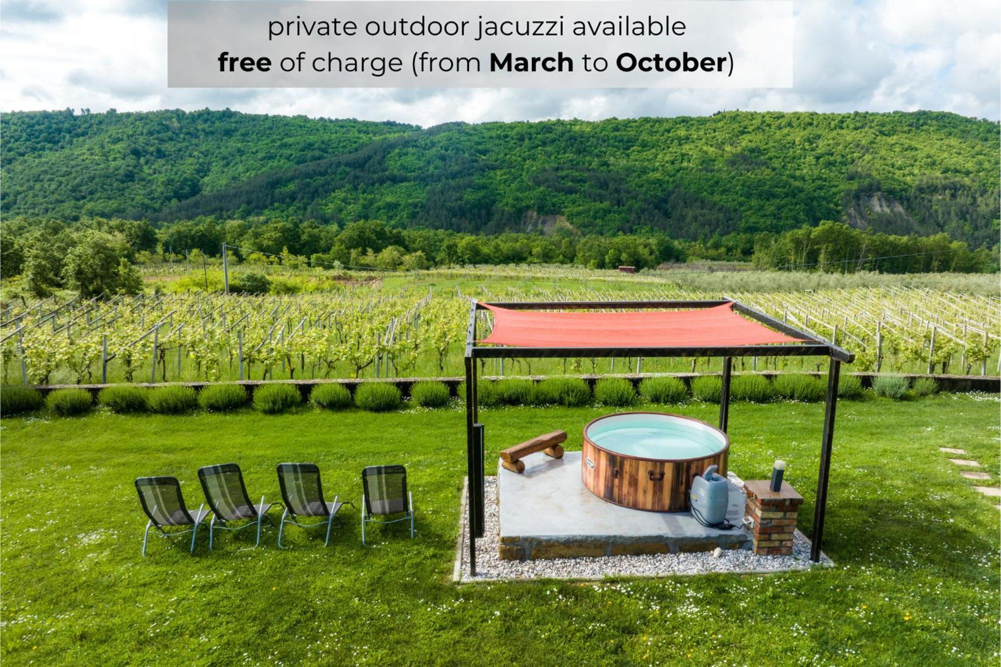 Touristfarm - Apartments "Red Fairytale" Marezige Luaran gambar